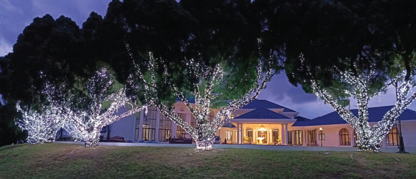 City-Light-Decoration-Solutions